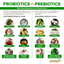 Check spelling or type a new query. Probiotics And Prebiotics Everything You Need To Know