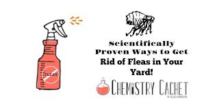 This is one of the effective ways to treat your yard of a flea infestation. Scientifically Proven Ways To Get Rid Of Fleas In Your Yard