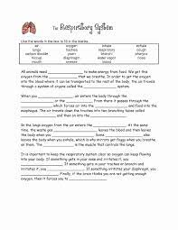 Respiratory System Worksheet Pdf New Schoolscdsb On Magazines Chessmuseum Template Li Respiratory System Respiratory System Projects Human Respiratory System