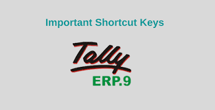 Tally Erp 9 Shortcut Special Keys Combination