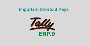 tally erp 9 shortcut special keys combination