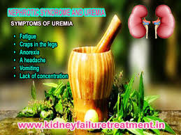 Nephrotic Syndrome And Uremia Treatment Dr Puneet Dhawan Puneet kochhar is all around prepared and best ivf ace in delhi. nephrotic syndrome and uremia treatment