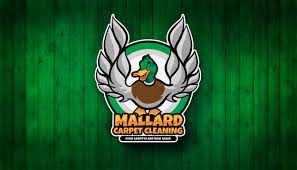 Cleaning isn't something that excites many people. Mallard Carpet Cleaning