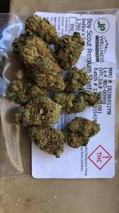 This strain offers big yields, . Boy Scout Cookies Didn T Even Know This Was A Strain R Trees