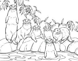 And you can freely use images for your personal blog! Otter Coloring Pages Best Coloring Pages For Kids