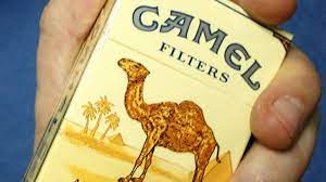 They can grow up to 19cm (7.5 inches) in length. Camel Yellow Cigarettes Smoking Room