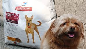 See what georgia banks (georgiabankd) has discovered on pinterest, the world's biggest collection of ideas. Bc Spca Partners With Animal Food Bank To Expand Okanagan Pet Food Bank Services Bc Spca