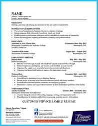 small business controller resume examples