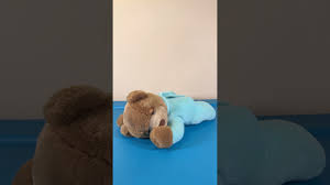 Ini adalah dot audio yang original dengan rekaman yang sebenarnya dibuat di dalam rahim seorang ibu. Prince Lionheart Slumber Bear Womb Plush Youtube