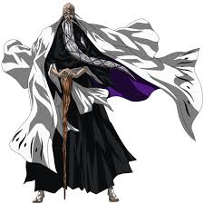 The thirteen court guard squads (also known as gotei 13) is the primary military branch of the soul society. What Are The Names Of The 13 Court Guard Squad Captains In Bleach Quora
