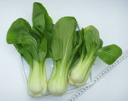 Pak Choi – Wikipedia