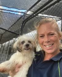 Milo and Miss Mo made a paw-some journey from Townsville to Brisbane and  then