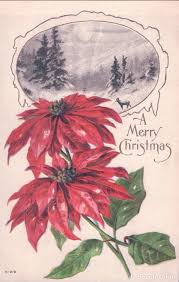 Como hacer una flor de nochebuena de papel paso a paso. Postal En Relieve Feliz Navidad A Merry Chris Buy Old Christmas Postcards At Todocoleccion 103760115
