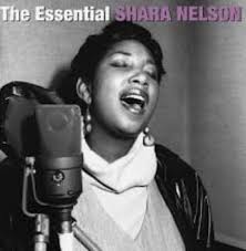 Here is a Track by Shara Nelson from her 2nd Album. She is the voice of  Unfinished Sympathy from Massive Attack . She had two Albums out in the  first half of