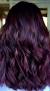 Plum Burgundy Wine Burgundy Hair Color