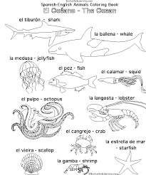 Learn 800 words at a1 level. Spanish Word Coloring Pages For Children