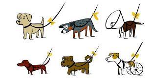 Maybe you would like to learn more about one of these? Nie Dotykaj Czyli Zolta Wstazka Dla Psa