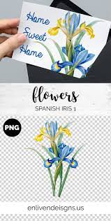 Spanish Iris Blue Flower Clip Art Printable Art Vintage Floral Collage Art Flower Clipart Flower Illustration Flower Clip