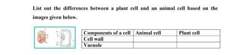 Maybe you would like to learn more about one of these? List Out The Differences Between A Plant Cell And As Animal Cell Based On The Images Given Below Brainly In