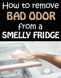 Now if you can only get someone to decontaminate that disgusting fridge. How To Remove Bad Odor From A Smelly Fridge 101cleaningtips Net