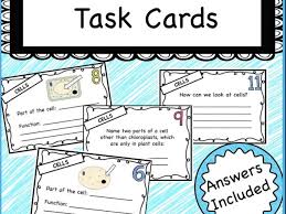 Animal cell foldable answer key. Science House Teaching Resources Tes