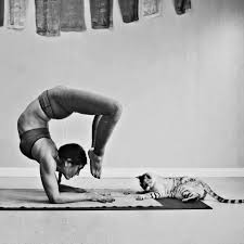 Yoga garage is a beautiful studio in the heart of florence where you can come to practise on your mat daily. Garage Yoga Home Facebook