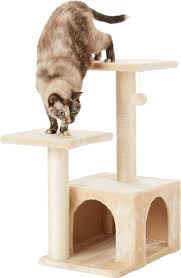It's time to bring home the best cat trees for large cats. The 8 Best Cat Trees Of 2021