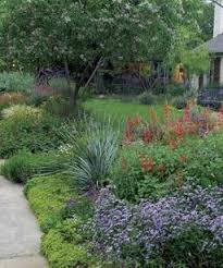 Pin By Virginia Sanders On Organic Gardening Texas Front Yard Landscaping Tropical Landscaping Landscape Design
