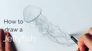 1.draw the outline of its body first.it looks like a little girl's head. Beginners How To Draw A Jellyfish Youtube