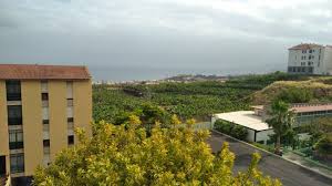 Als ich das nun las, war es gerade mitten im winter und ich hatte bestimmt keinen platz für viel erde in meiner wohnung in new york city. Inmobiliaria Imperial Canarias Ref Vpi10418 Br Wohnung In La Vera Puerto De La Cruz Das Immobilien Netzwerk Von Teneriffa