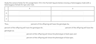 Solved Study The Lecture Notes For This Assignment Fill