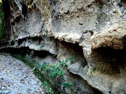 Ana giriş, tekila ile küçük kasaba la primavera yol kapalıdır. A Brief Guide To Mexico S Primavera Forest Mexconnect