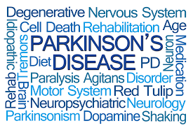 It contains five stages of disease progression and still serves as a basis for the definition of different parkinson's disease stages. Parkinson S Disease Stages What Do Family Caregivers Need To Know