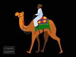 There are two types of camels: Ship Of Desert By Abhishek Kasegaonkar On Dribbble