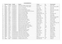 Image result for Indigofera laxiracemosa