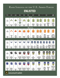 thorough us navy rank chart united states military ranks