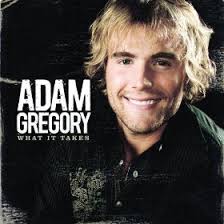 What It Takes (Adam Gregory song)