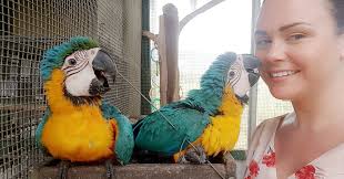 Macaw encounter experiences near my location?