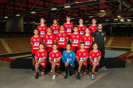 Find out all of the pfadi winterthur handball livescores for every handball game pfadi winterthur have played in the current season and every season before it. Junioren Pfadi Winterthur Handball