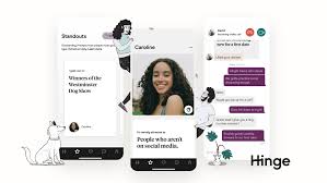 Hinge Standout In 2024 – What Is It? | Is It Effective?