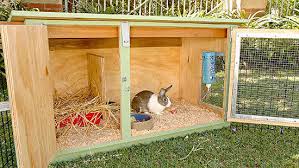 It should be able to keep the inside of the hutch warm during the building a rabbit hutch is a fun job that would spark up your creative side and would make you feel. 50 Diy Rabbit Hutch Plans To Get You Started Keeping Rabbits