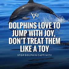 Check spelling or type a new query. 65 Catchy Ocean Pollution Slogans World Oceans Day Vicharoo