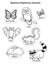 Angol Feladatok Mondokak Szinezok Nocturnal Animals Ejszakai Allatok Animals That Hibernate Nocturnal Animals Nocturnal Animals Activities