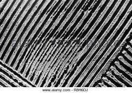 Asi es como se mira en el dia. Cement Texture Background Cemented Textured Brown Wall On Which Sunlight Falls And Creates A Strips Stock Photo Alamy