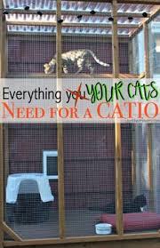 Cats will love to play there and enjoy the time spending there in the cage. 22 Outdoor Cat Kennel Ideas Cat Patio Outdoor Cat Enclosure Cat Enclosure