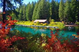Check spelling or type a new query. Clear Lake Resort In The Willamette National Forest