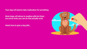 What is the easiest way to give dogs pills? How To Give A Dog Pills Or Medication Top Dog Tips
