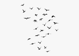 Ftestickers Birds Flock Bird Silhouette Animal Birds Silhouette Png Transparent Png Transparent Png Image Pngitem Download and use them in your website, document or presentation. ftestickers birds flock bird