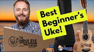 Not fdic insured • no bank guarantee • may lose value. Can T Help Falling In Love Elvis Presley Twenty One Pilots Ukulele Tutorial Youtube