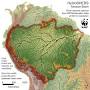 Amazon rainforest ecosystem from wwf.panda.org